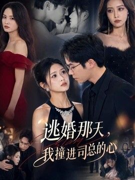 逃婚那天,我撞进司总的心海报